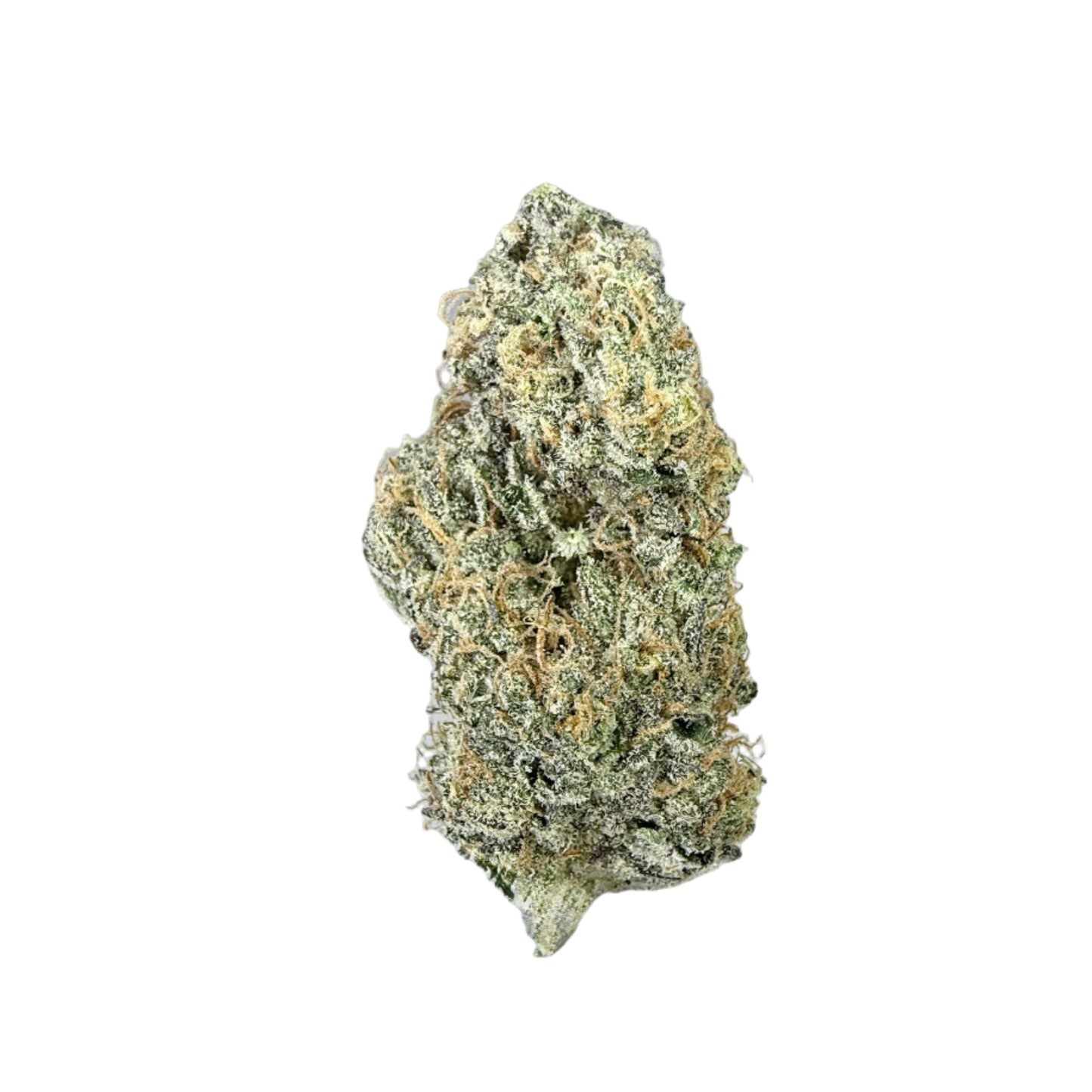 GMO x Animal Cookies