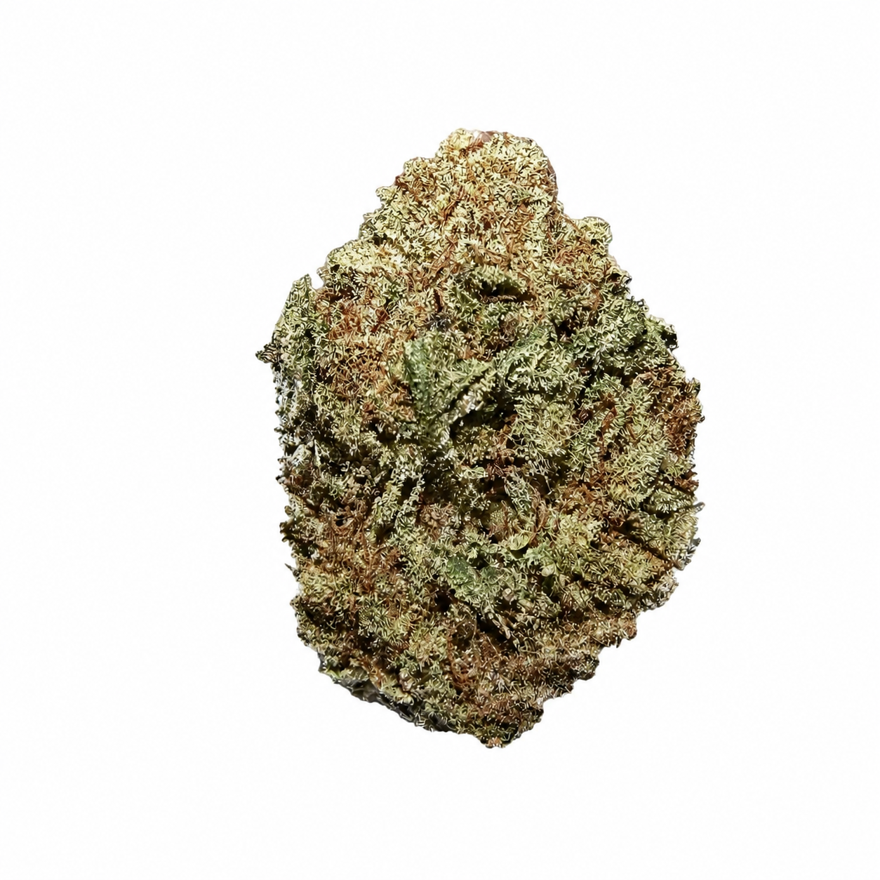 Sunset Sherbet