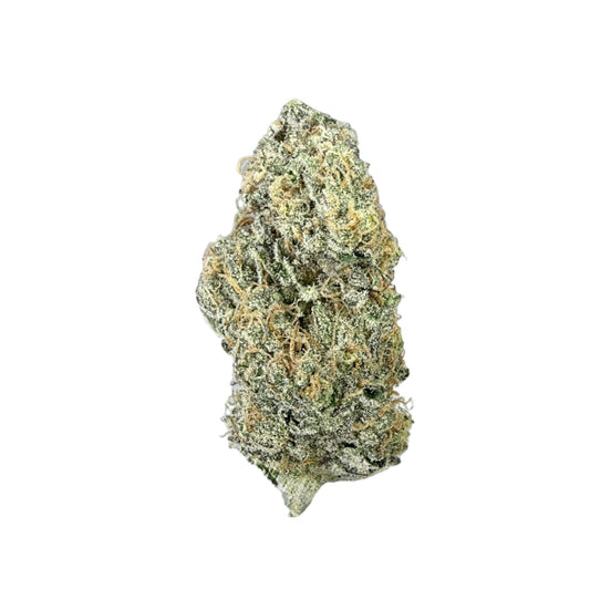 GMO x Animal Cookies